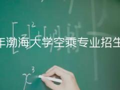 2021年渤海大學空乘專業(yè)招生簡章