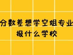 有沒(méi)有不要分?jǐn)?shù)的空姐學(xué)校？