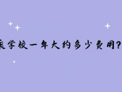 讀空乘學(xué)校一年大約多少費(fèi)用？