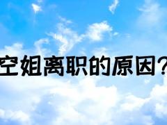 空姐離職的原因？