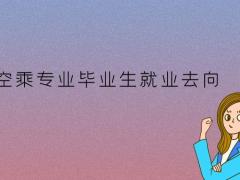 空乘畢業(yè)生可以去高鐵上班嗎？